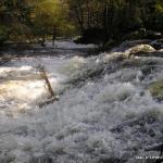 Photo of the Fane river in County Louth Ireland. Pictures of Irish whitewater kayaking and canoeing. Mill Weir / Fane River. Photo by simon conroy