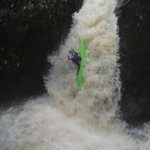  Owengar River - ray on main drop jan2011