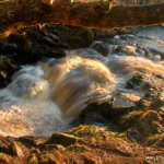 Photo of the Avonmore (Annamoe) river in County Wicklow Ireland. Pictures of Irish whitewater kayaking and canoeing. Jacksons . Photo by Kyle Tunney