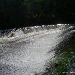  Liffey River - Wren's Nest Weir on relatively low water