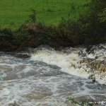 Photo of the Ilen river in County Cork Ireland. Pictures of Irish whitewater kayaking and canoeing. ledge drop block in centre covered HW. Photo by dave g