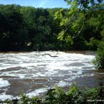  Liffey River - wrens nest weir mega water aug 08