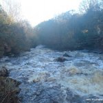  Kip (Loughkip) River - The long rapid below the slide on the kip.