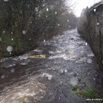  Forkhill River - river at low water