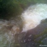 Photo of the Coomeelan Stream in County Kerry Ireland. Pictures of Irish whitewater kayaking and canoeing. Below first bridge, tree since removed. Photo by Daith