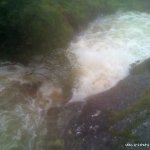  Coomeelan Stream River - Below first bridge, tree since removed