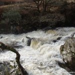  Owbeg River - entry to shallow gorge