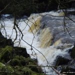  Owbeg River - lower steps