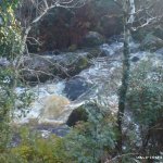  Kip (Loughkip) River - Rocks and Boulders