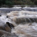 Photo of the Brosna river in County Mayo Ireland. Pictures of Irish whitewater kayaking and canoeing. Salmon run just visible above the water in foreground of photo, located on river right at the put in.. Photo by dec