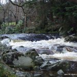  Avonmore (Annamoe) River - 