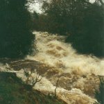  Avonmore (Annamoe) River - looking upstream from river right above little jacksons.300 on gauge,nov 2000