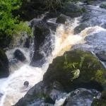  Glenarm River - Pucker-Up