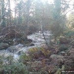  Kip (Loughkip) River - Tight boulder rapid.