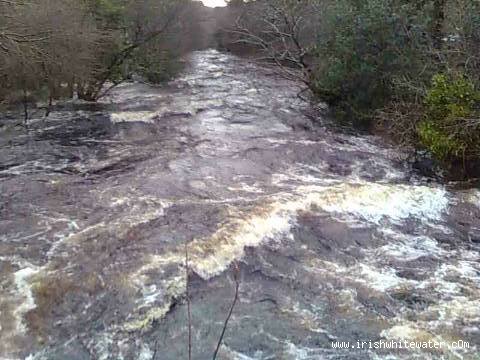  Avonmore (Annamoe) River - View downstream from Oldbridge in flood. 16/01/10