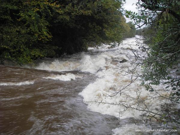  Roughty River - lower lower section oct bank hol weekend