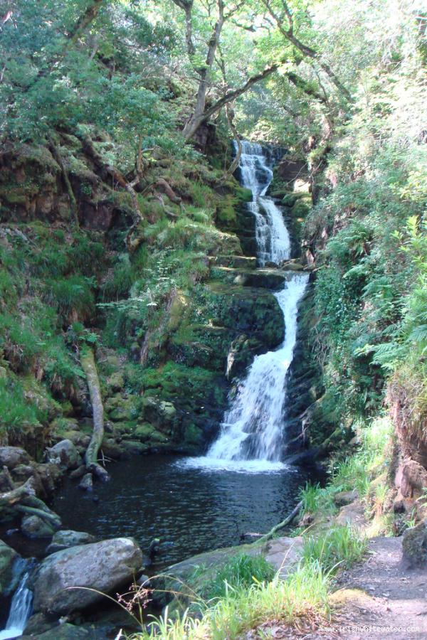  O'Sullivans Cascades River - O'Sullivan's cascade in Tomies Woods, Killarney, Ireland. <br />http://flickr.com/photos/epc/