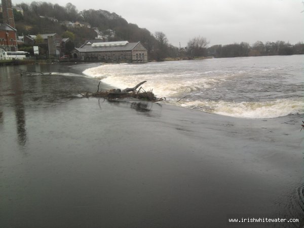  Lee River - tree stuck on weir high water
