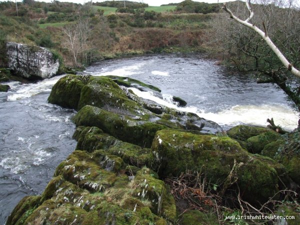  Upper Bandon River - Big Drop now runnable on far River Right @ high levels 0.7M + : Trees Trimmed