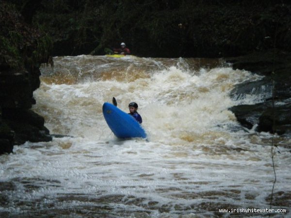  Clare Glens - Clare River - unexpected stern catch