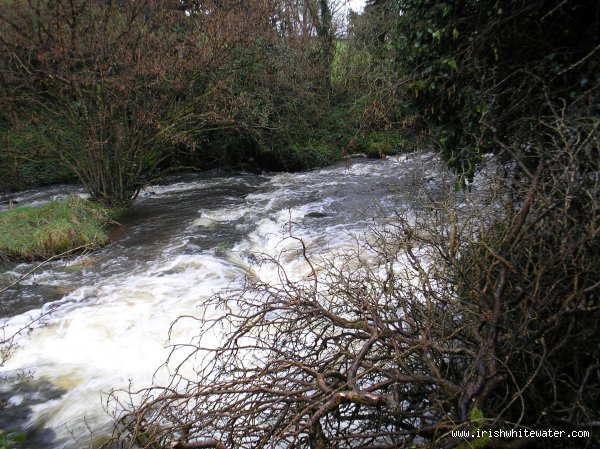  Forkhill River - rapid section in low water