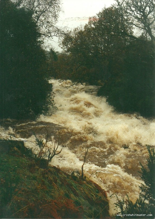  Avonmore (Annamoe) River - looking upstream from river right above little jacksons.300 on gauge,nov 2000
