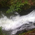 Woodstock Falls (Inistioge) River - Pool at bottom of 2nd fall Woodstock Falls (Inistioge) River - Pool at bottom of 2nd fall