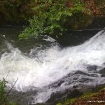  Woodstock Falls (Inistioge) River - Pool at bottom of 2nd fall