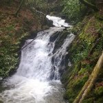 Photo of the Woodstock Falls (Inistioge) in County Kilkenny Ireland. Pictures of Irish whitewater kayaking and canoeing. Main fall. Photo by Adrian S