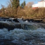 Photo of the Ulster Blackwater (Benburb Section) in County Tyrone Ireland. Pictures of Irish whitewater kayaking and canoeing. the steps , medium water.. Photo by keith bradley
