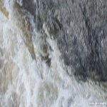 Photo of the Liffey river in County Dublin Ireland. Pictures of Irish whitewater kayaking and canoeing. castletown rapids in flood again. Photo by john