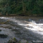 Photo of the Ulster Blackwater (Benburb Section) in County Tyrone Ireland. Pictures of Irish whitewater kayaking and canoeing. the V weir.. Photo by keith bradley