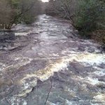Photo of the Avonmore (Annamoe) river in County Wicklow Ireland. Pictures of Irish whitewater kayaking and canoeing. View downstream from Oldbridge in flood. 16/01/10. Photo by EoinH