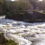 Photo of the Maigue river in County Limerick Ireland. Pictures of Irish whitewater kayaking and canoeing. bruree 5. Photo by tom
