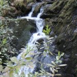  Woodstock Falls (Inistioge) River - 