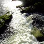 Photo of the Upper Bandon river in County Cork Ireland. Pictures of Irish whitewater kayaking and canoeing. BIG DROP, RIGHT CHANNEL @ -0.1M. Photo by Dave P