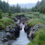 Photo of the Upper Owenglin river in County Galway Ireland. Pictures of Irish whitewater kayaking and canoeing. The main forestry section with no water.. Photo by Seanie