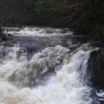 Photo of the Westport Owenwee river in County Mayo Ireland. Pictures of Irish whitewater kayaking and canoeing. First drop. Photo by Eoin Delaney