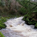Photo of the Colligan river in County Waterford Ireland. Pictures of Irish whitewater kayaking and canoeing. second and third rapids/small holes high water. Photo by Michael Flynn