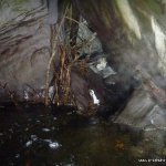  Coomeelan Stream River - Entrance to 20m long syphon under boulder