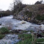 Photo of the Deel river in County Limerick Ireland. Pictures of Irish whitewater kayaking and canoeing. Photo by ULKC