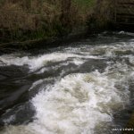 Photo of the Six Mile Water river in County Antrim Ireland. Pictures of Irish whitewater kayaking and canoeing. Rapid with the slight bend.