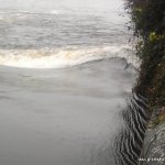 Photo of the Lee river in County Cork Ireland. Pictures of Irish whitewater kayaking and canoeing. with the tree on the weir this is the wave at the river right corner of the weir. Photo by John