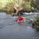 Photo of the Upper Bandon river in County Cork Ireland. Pictures of Irish whitewater kayaking and canoeing. Tree down on River Right @ entrance to S-Bend. Photo by Dave P