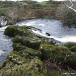 Photo of the Upper Bandon river in County Cork Ireland. Pictures of Irish whitewater kayaking and canoeing. Big Drop now runnable on far River Right @ high levels 0.7M + : Trees Trimmed. Photo by Dave P