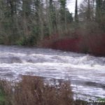 Photo of the Brosna river in County Mayo Ireland. Pictures of Irish whitewater kayaking and canoeing. Poor photo, fading light. Photo by dec