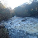 Photo of the Kip (Loughkip) river in County Galway Ireland. Pictures of Irish whitewater kayaking and canoeing. The long rapid below the slide.. Photo by Seanie