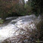 Photo of the Forkhill river in County Armagh Ireland. Pictures of Irish whitewater kayaking and canoeing. rapid section in low water. Photo by Gerry