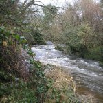 Photo of the Forkhill river in County Armagh Ireland. Pictures of Irish whitewater kayaking and canoeing. Photo by Gerry