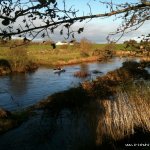  Clare River Milltown River - 6/11/11